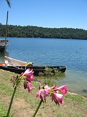 027 Lake Barrine